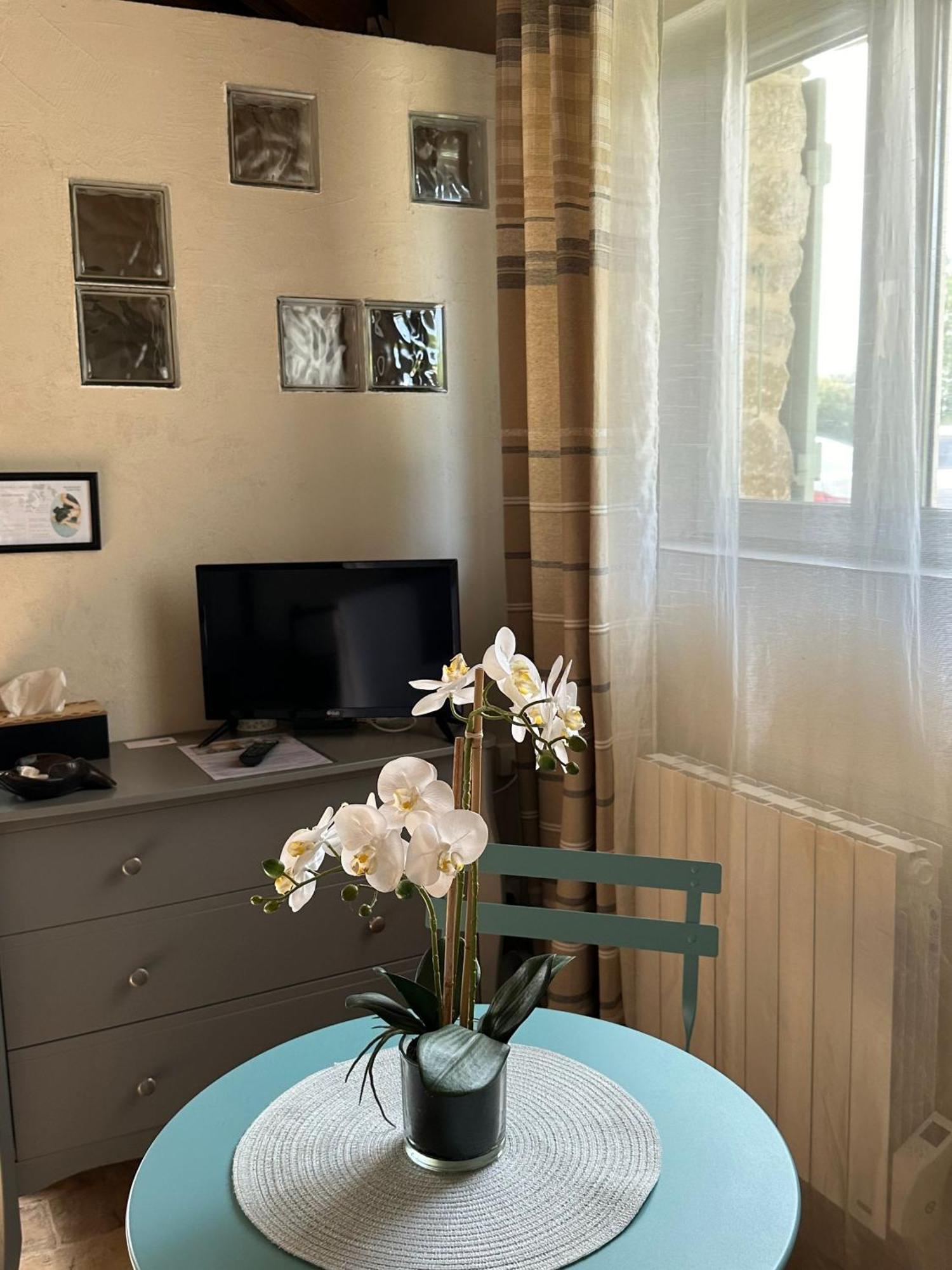 Maisonnette Independante Au Calme Dans Un Grand Jardin Châteauneuf-du-Rhône 外观 照片