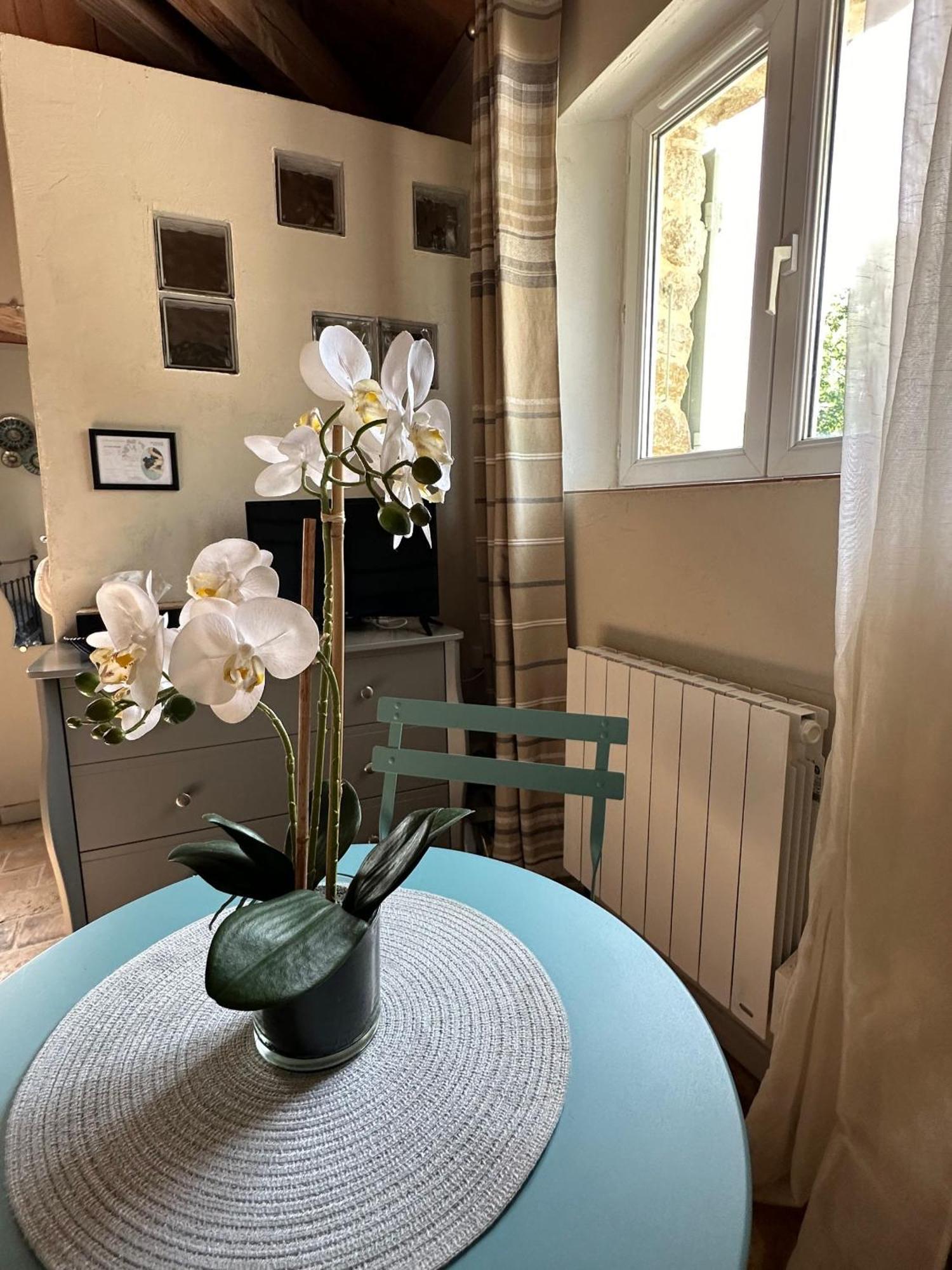 Maisonnette Independante Au Calme Dans Un Grand Jardin Châteauneuf-du-Rhône 外观 照片