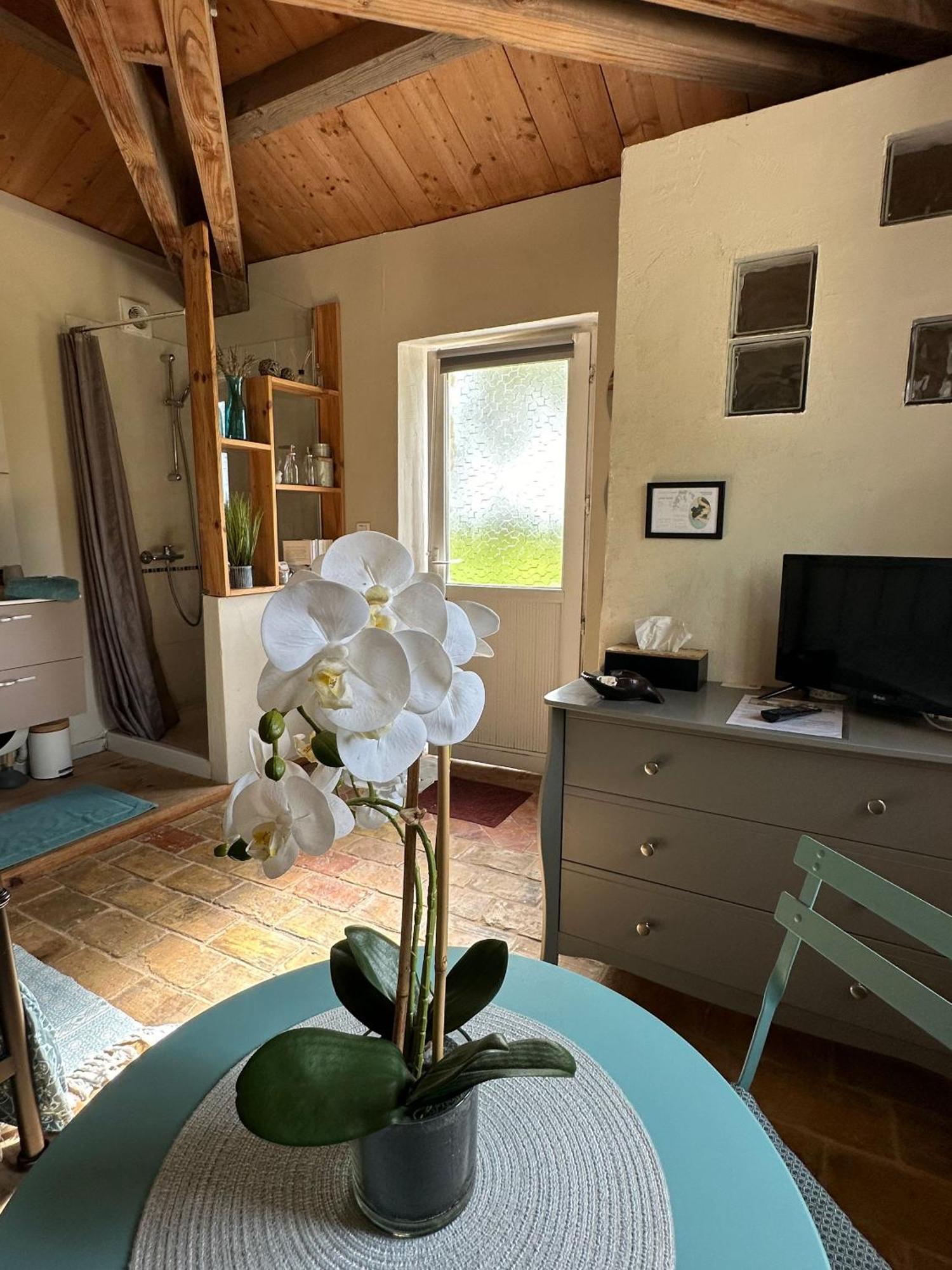 Maisonnette Independante Au Calme Dans Un Grand Jardin Châteauneuf-du-Rhône 外观 照片