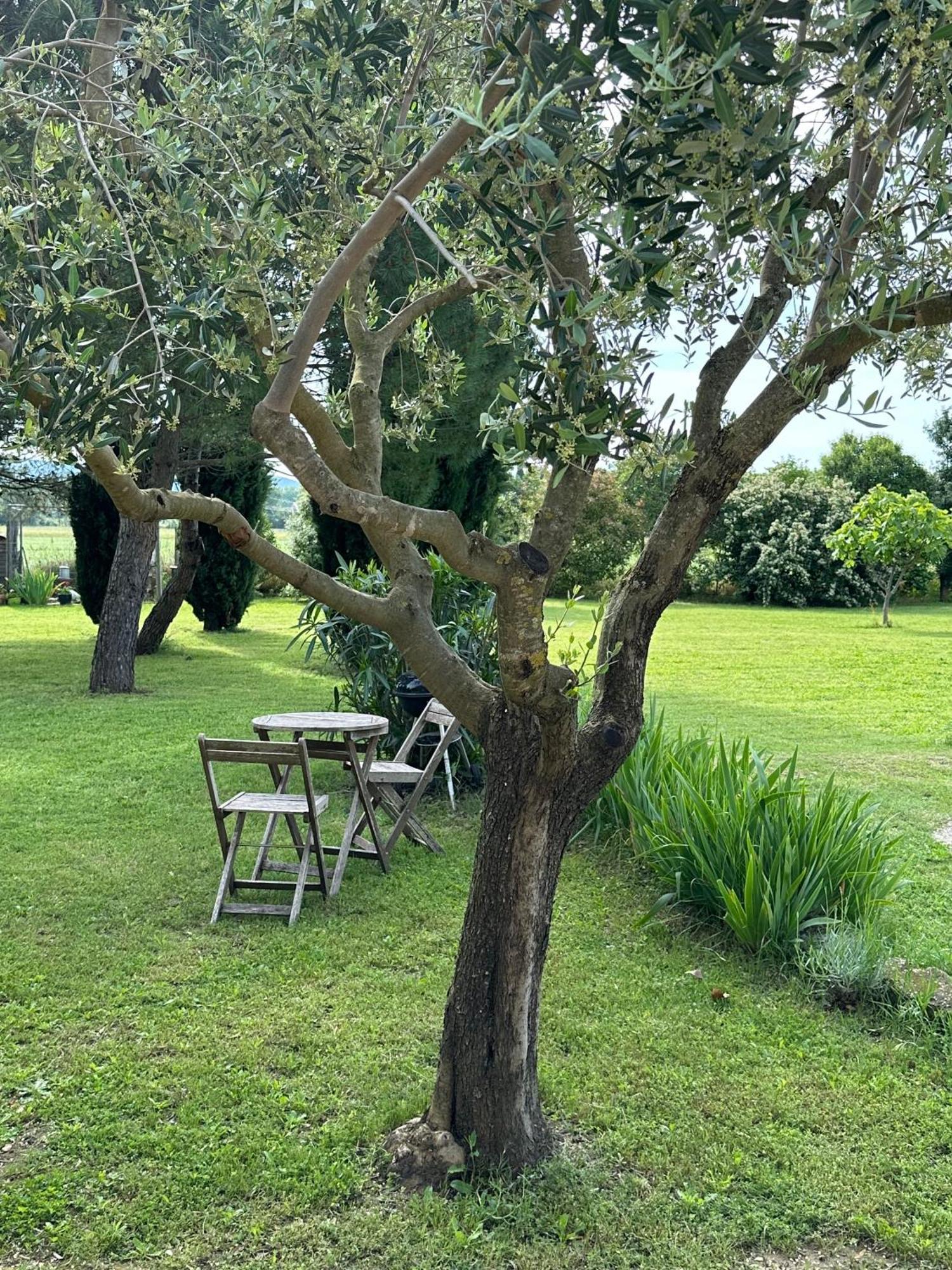 Maisonnette Independante Au Calme Dans Un Grand Jardin Châteauneuf-du-Rhône 外观 照片