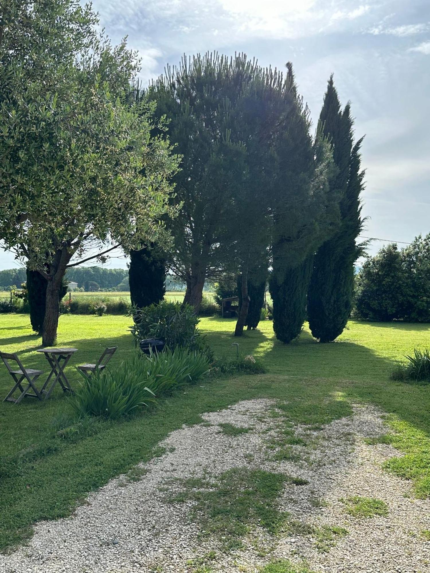 Maisonnette Independante Au Calme Dans Un Grand Jardin Châteauneuf-du-Rhône 外观 照片