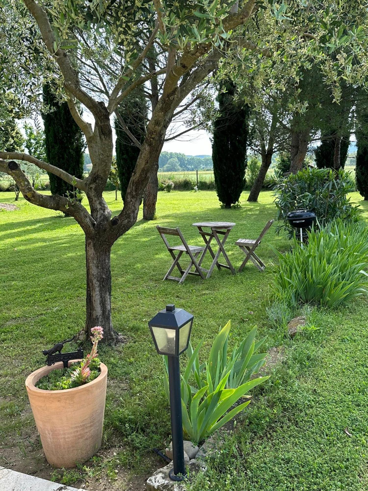Maisonnette Independante Au Calme Dans Un Grand Jardin Châteauneuf-du-Rhône 外观 照片